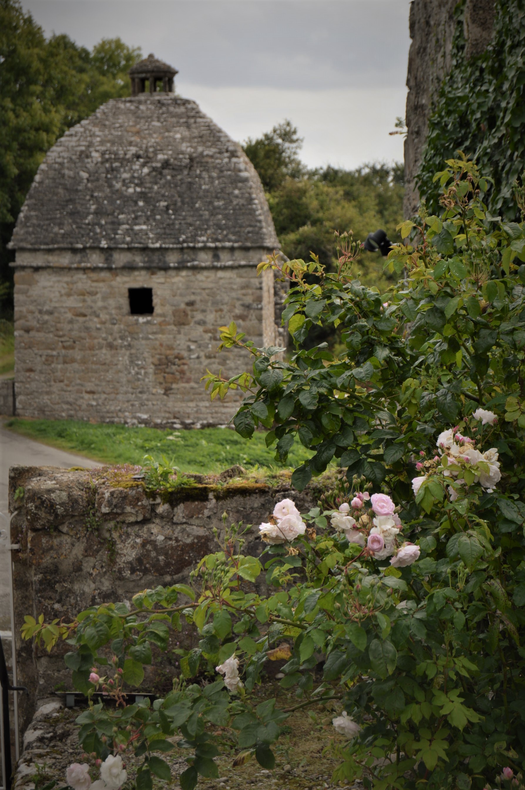 One of largest Dovecotes in Britain
